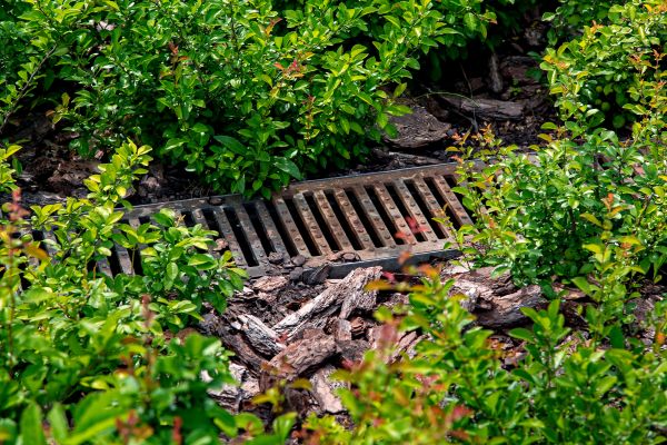 Cost of Underground Drainage Service in Vienna