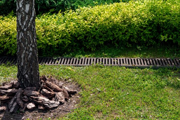 Cost of Wet Yard Drainage in Vienna