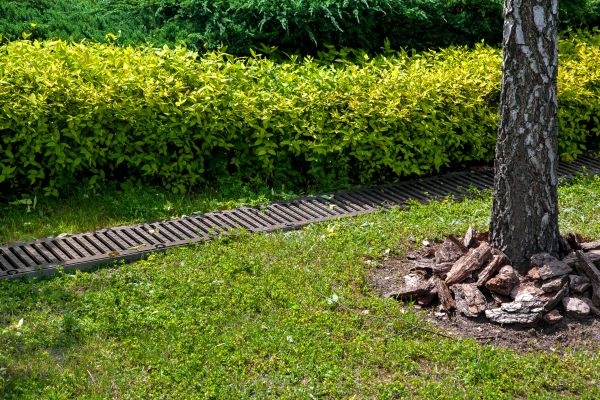 Cost of Residential Landscape Drainage in Vienna