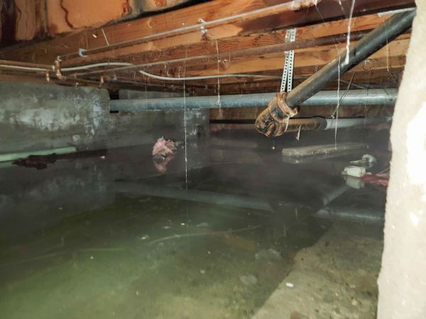 Cost of Crawlspace Drainage in Vienna